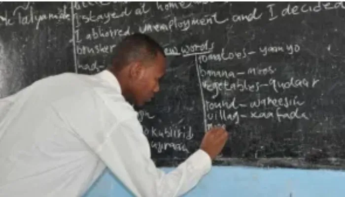 20 Advantages and Disadvantages of being a teacher in Nigeria